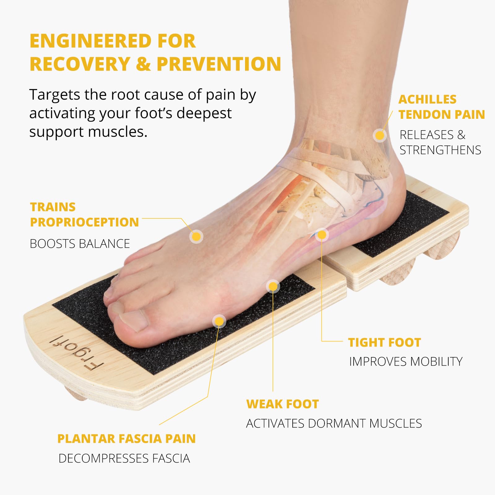 Engineered for recovery and prevention — how the NeuroBoard activates the foot's deepest support muscles: proprioception, the Achilles tendon, the plantar fascia and more